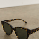 WYSE x Finlay Henrietta Sunglasses - Turtle