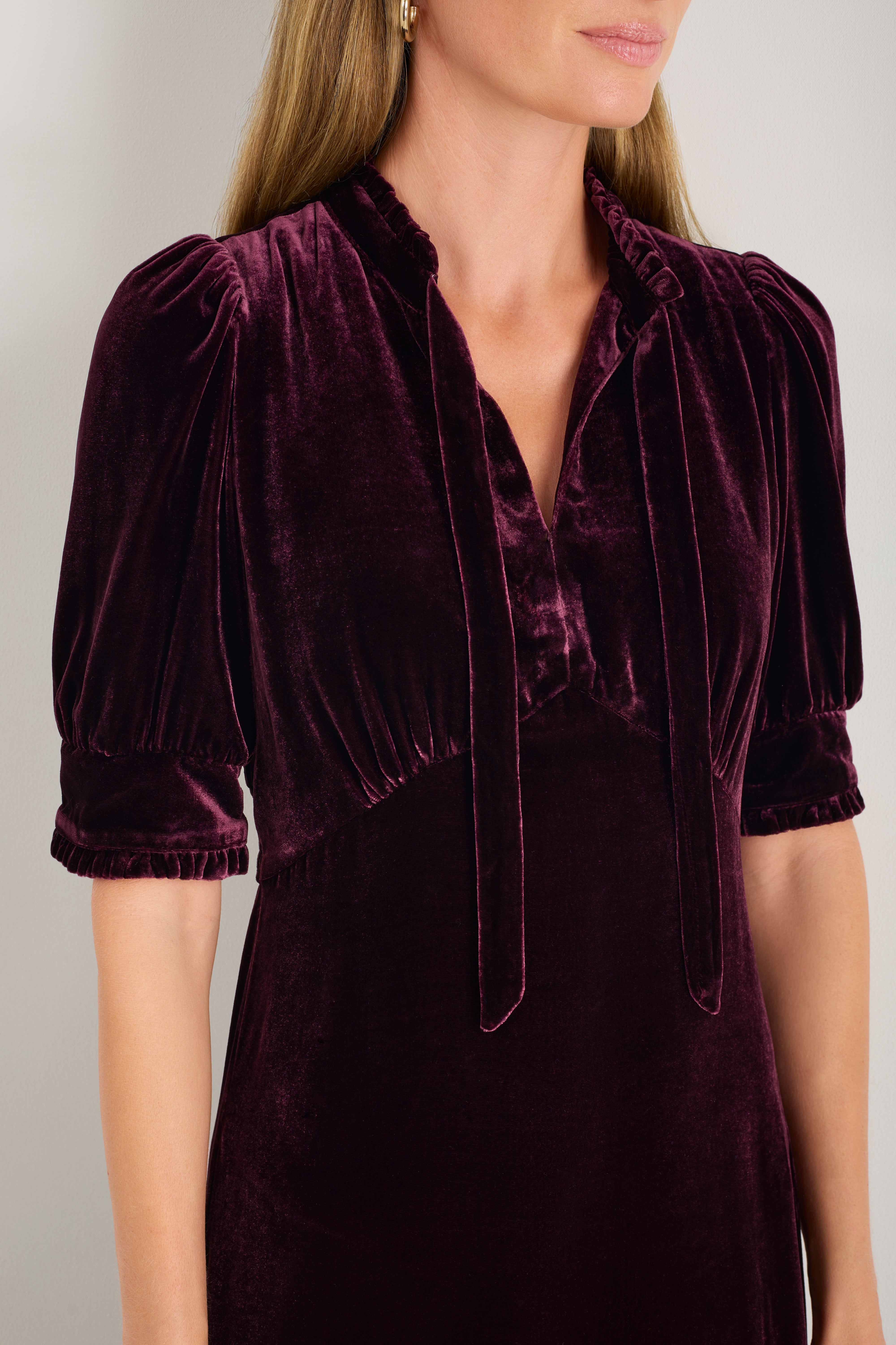Paulina Silk Velvet Dress - Deep Fig